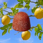 Bananarama - Image 5